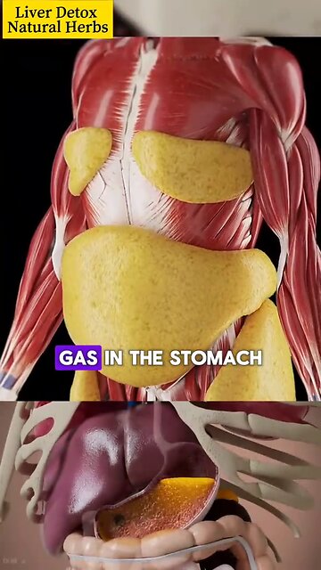 Liver detox natural herbs