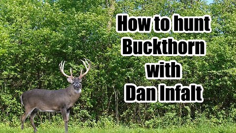 How to hunt Buckthorn with Dan Infalt