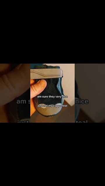 Best Dog Boots??? #rottweiler #dogs #dogboots