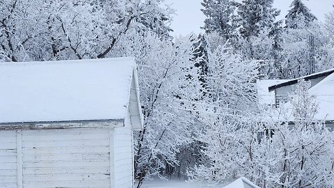 It's a coooold night here in Saskatchewan!