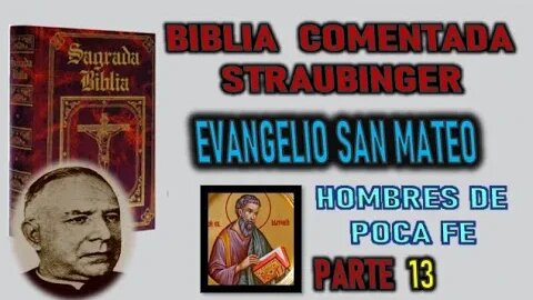 HOMBRES DE POCA FE - BIBLIA STRAUBINGER