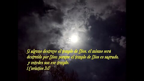 Versículo bíblico diario para hoy