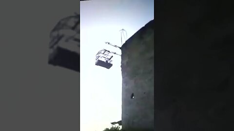 Gavião tenta pegar passarinho e leva um tiro