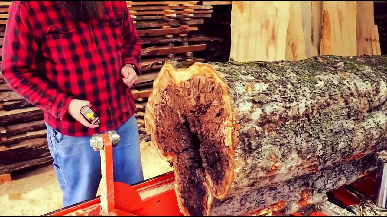 Saw-Milling A Rare Apple Log And Finding Red Gold Under The Bark
