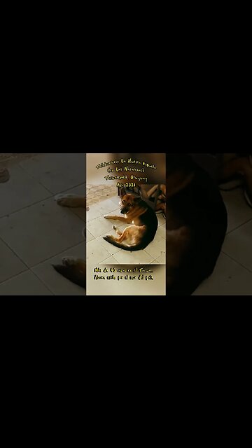 Talabartería "La Nueva Espuela" (ex "Las Nazarenas") #tacuarembó #uruguay (2021)