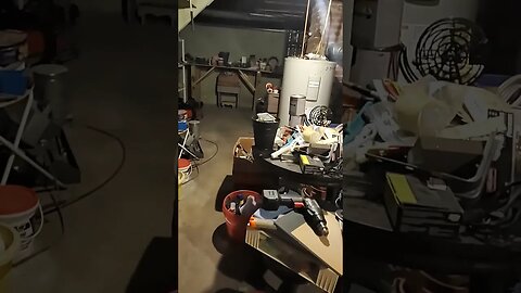 Cat in the basement