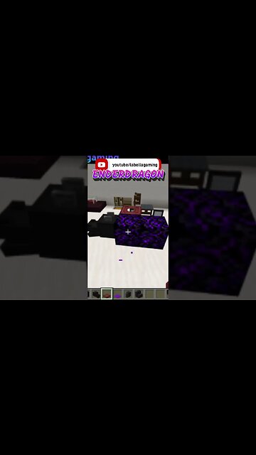 Ender Dragon | Minecraft