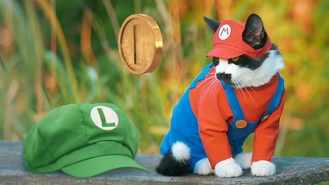 Super Mario 😺 Cat Bro's