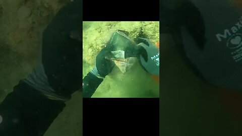 I found wallet in river with cash and credit cards