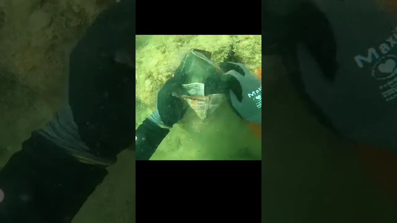 I found wallet in river with cash and credit cards