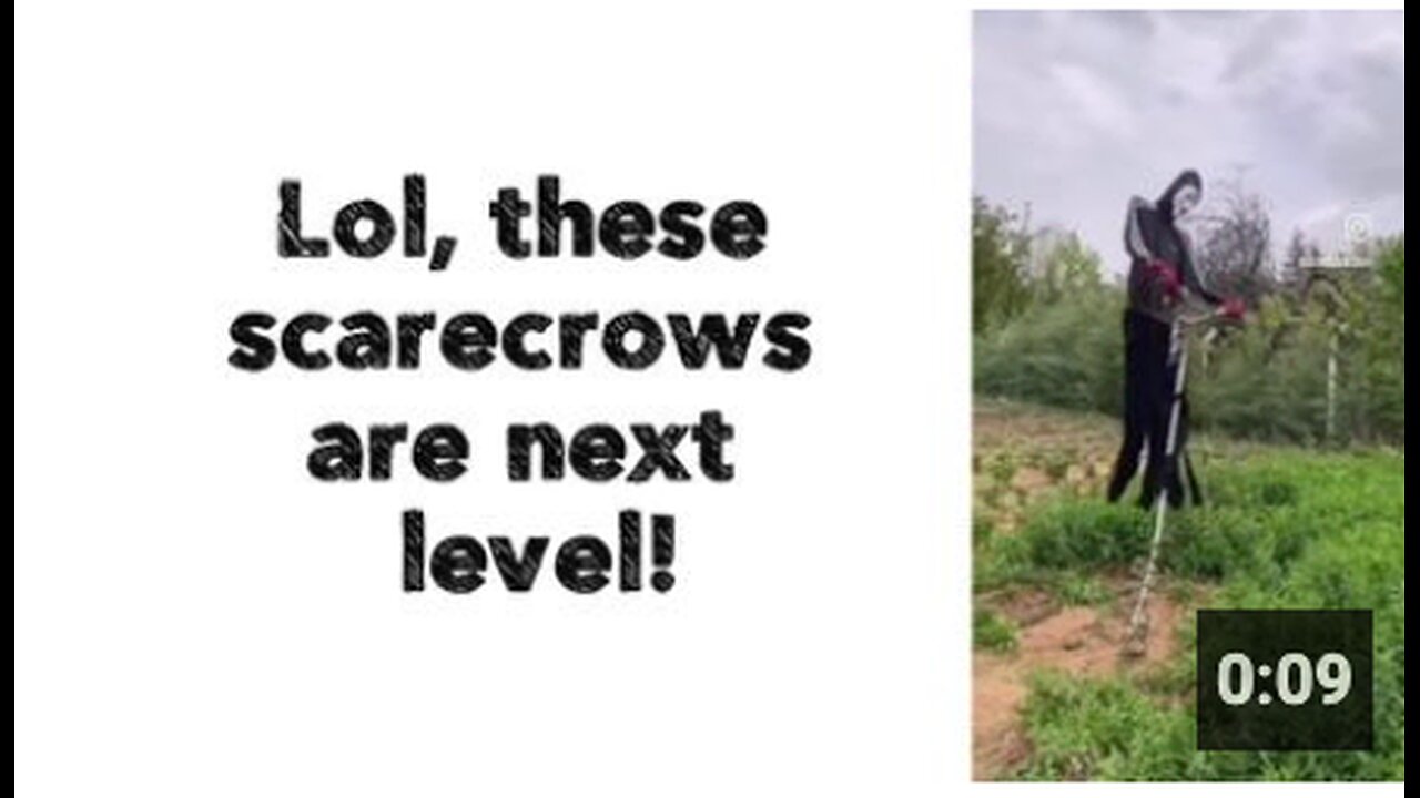 Lol, these scarecrows are next level!