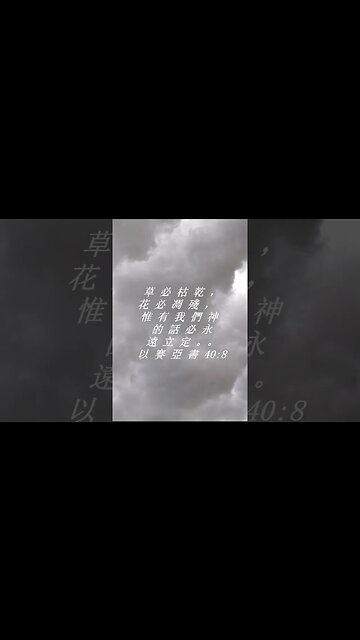 今天的每日聖經經文Jīntiān de měi rì shèngjīng jīng wén