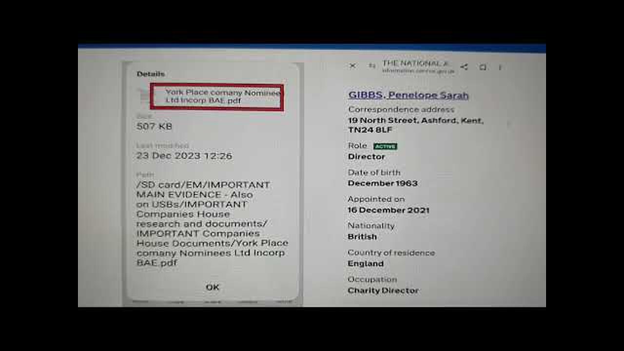 P3 - SUNAK / RUSSIA / UKRAINE / MY COMPANY - International Government fraud and child trafficking