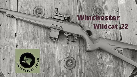 Winchester Wildcat...Polymer Plinker done right