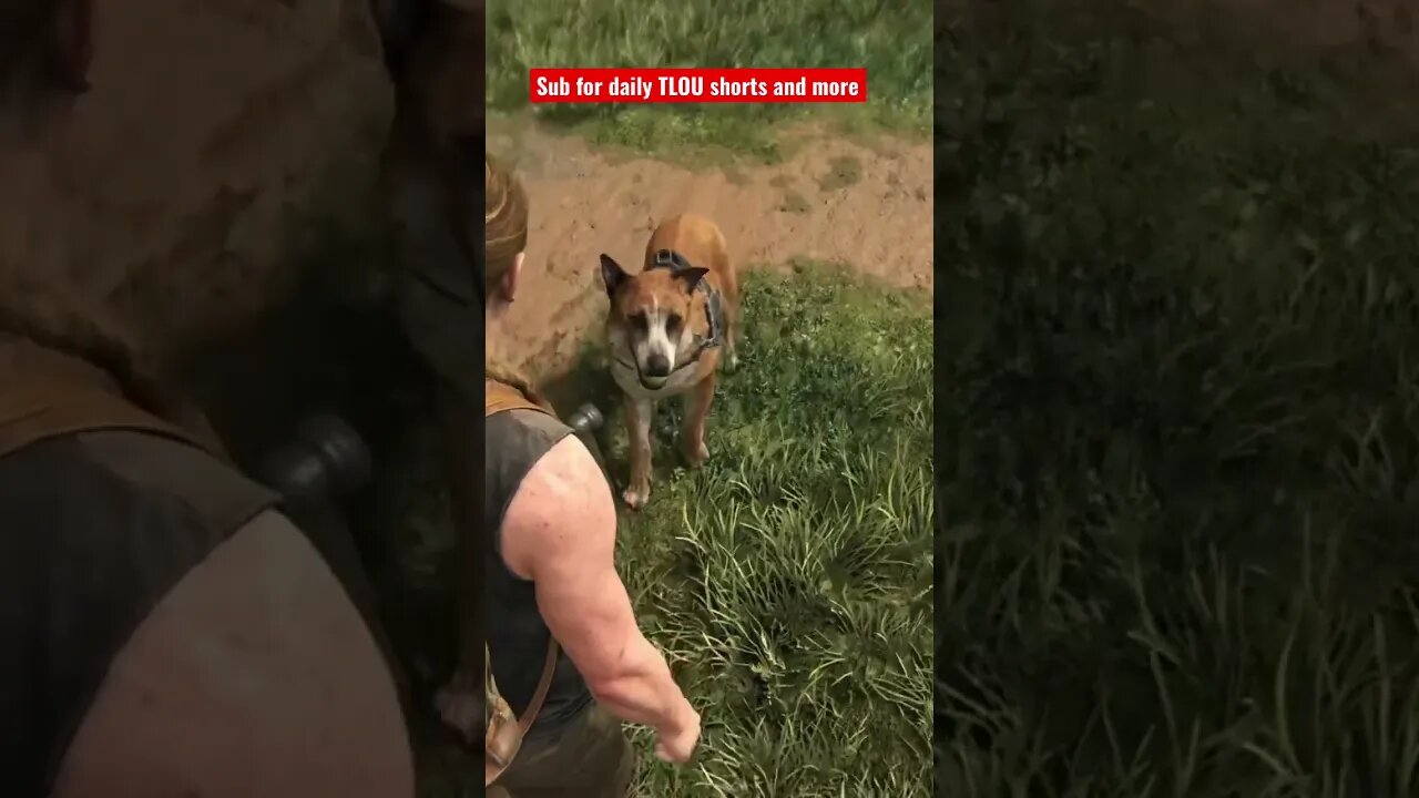 Good boy 🐶 #shorts #playstation #ps5 #thelastofus #hbomax