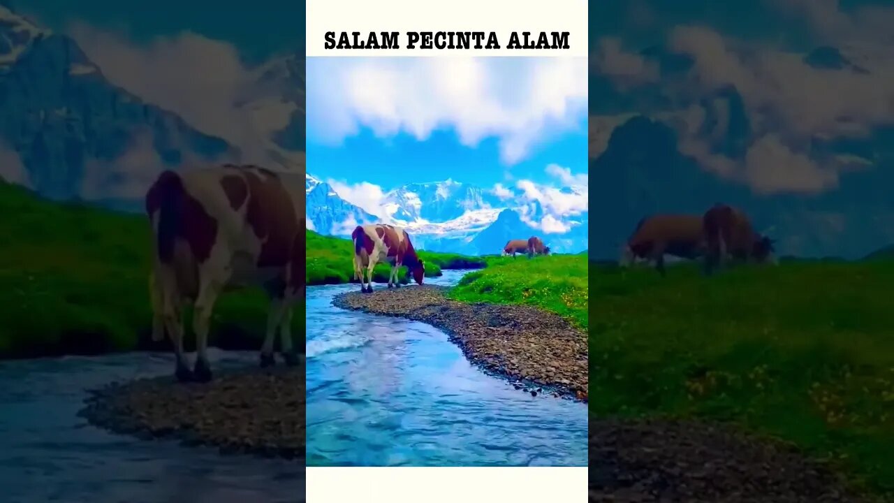 alam yg indah | beautiful nature