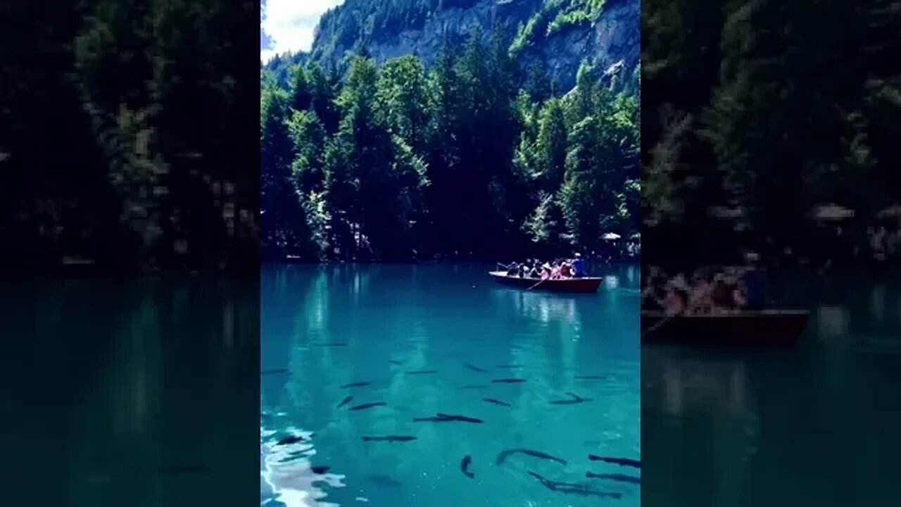 Blue Lake, Blausee, Switzerland, Swiss🇨🇭#shorts #swiss #swissalps #switzerland #alps