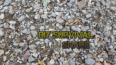 DIY Field Expedient Survival Snare