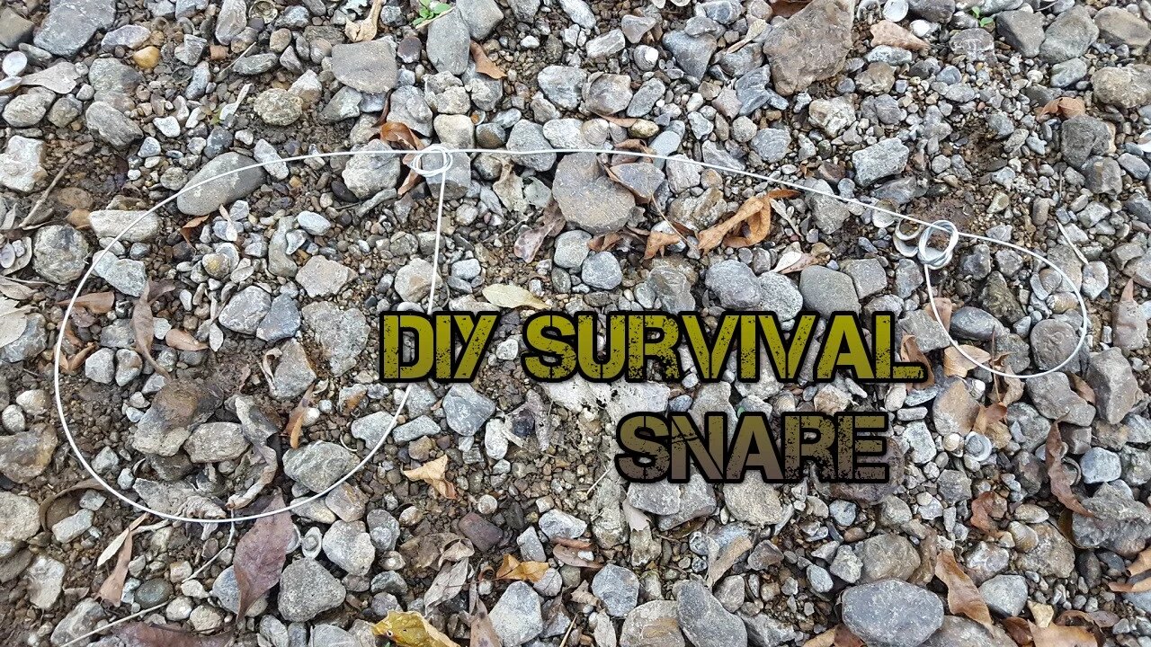 DIY Field Expedient Survival Snare