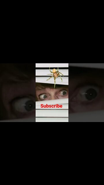 Along came a spider #shorts
