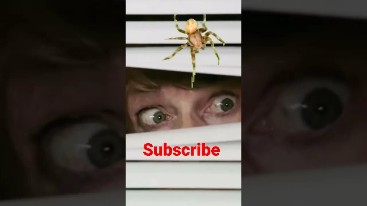 Along came a spider #shorts
