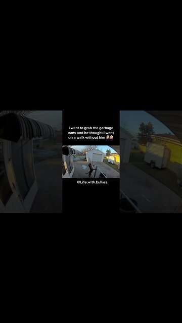 Dog "Nooooooooooo" 😭 #dog