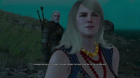 THE WITCHER 3 WILD HUNT Part 19