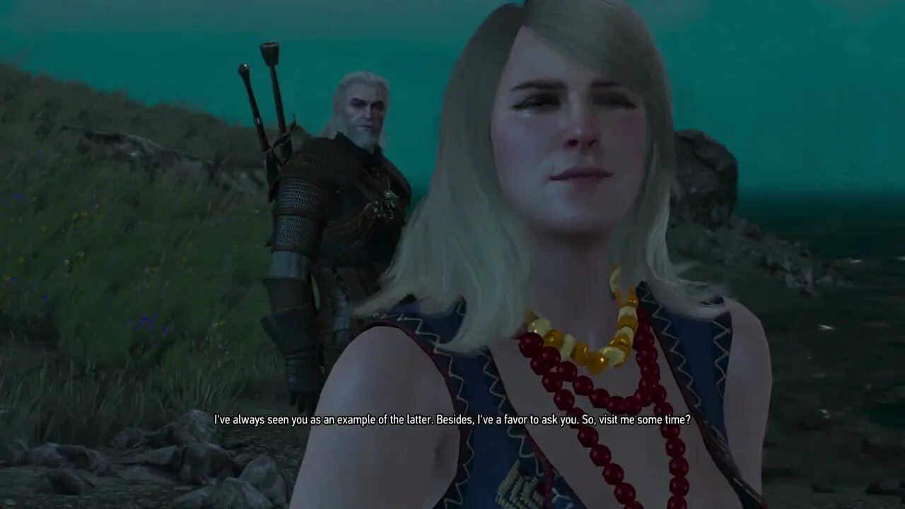 THE WITCHER 3 WILD HUNT Part 19