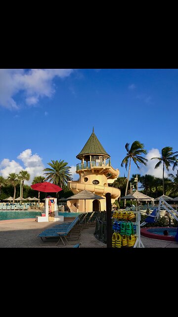 Team building at Disneys Vero Beach Resort Windy Solar Capital