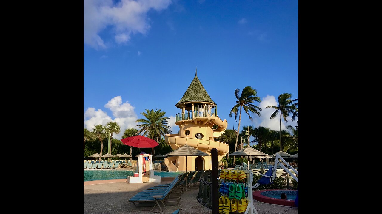 Team building at Disneys Vero Beach Resort Windy Solar Capital