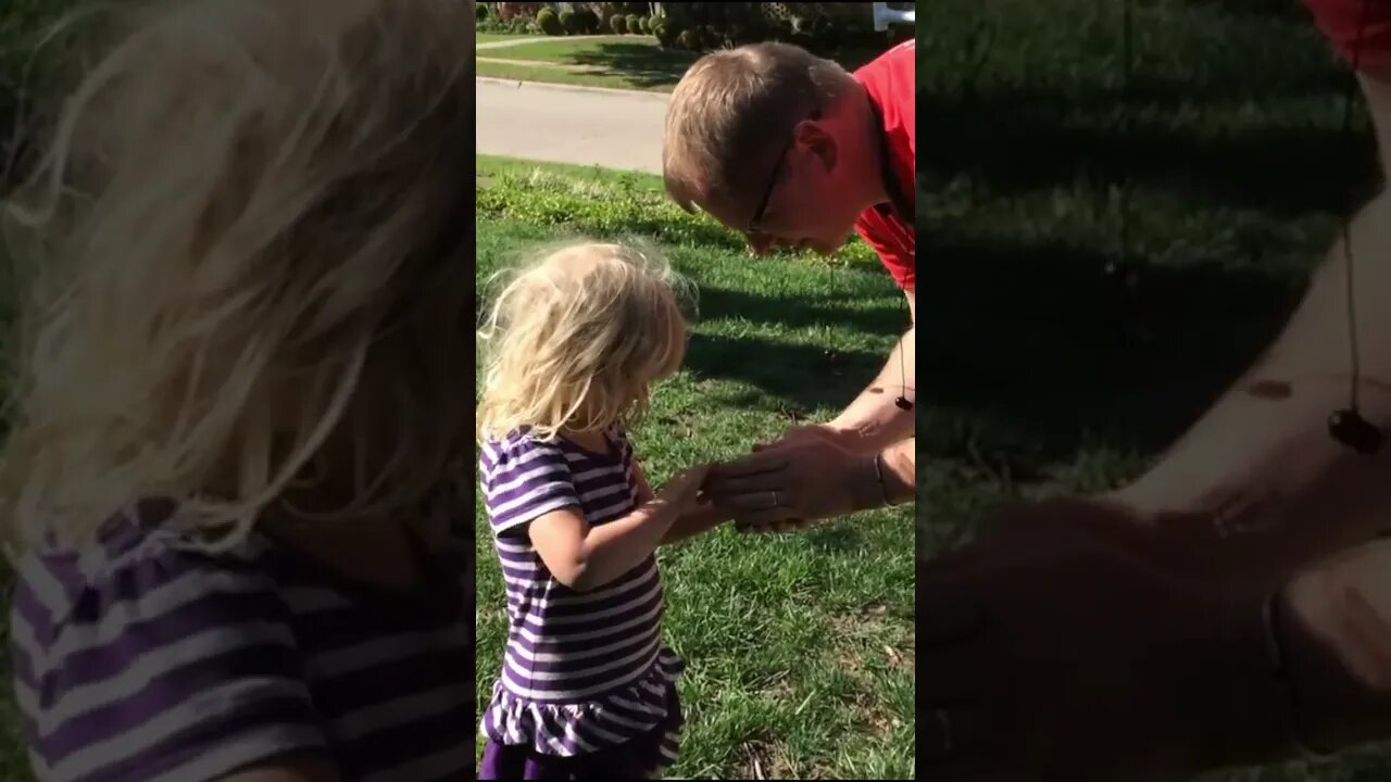 Bird in the Hand