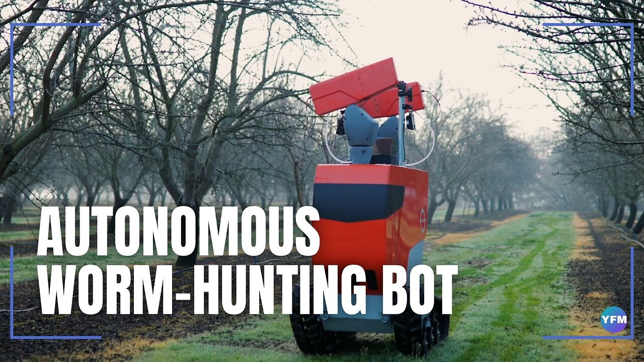 Autonomous worm-hunting bot