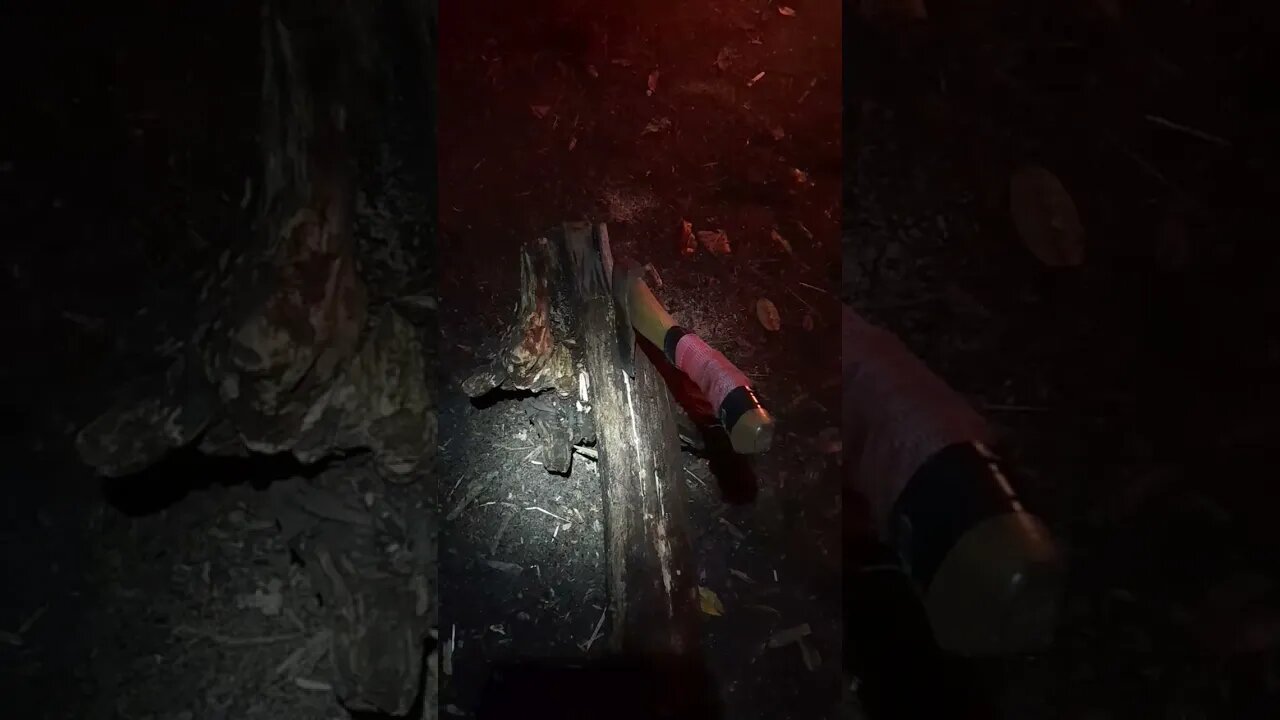 Split the Log like a PRO. [Bushcraft Masters Short] #shorts #nature #bushcraft