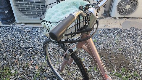 Keeping Veg Cool While Biking Through Town