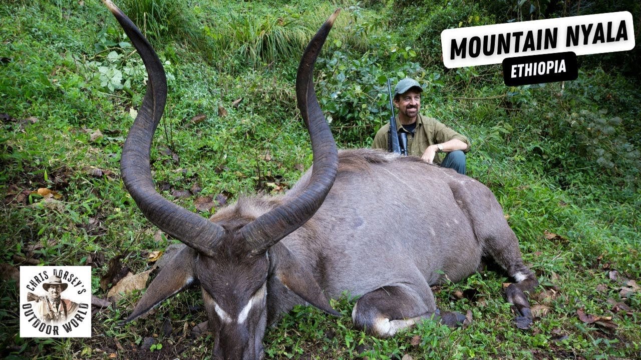 Monster Mountain Nyala in Ethiopia