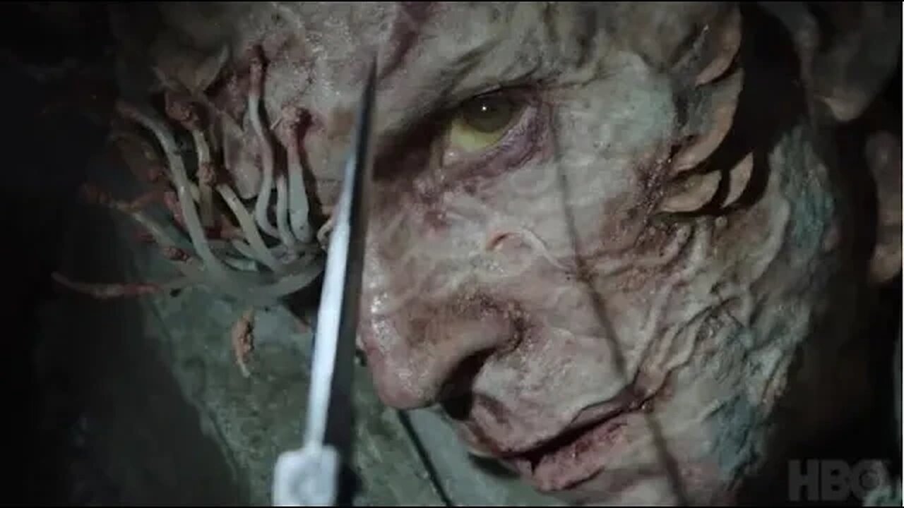 The Last of Us: Could a fungal pandemic turn us all into zombies?