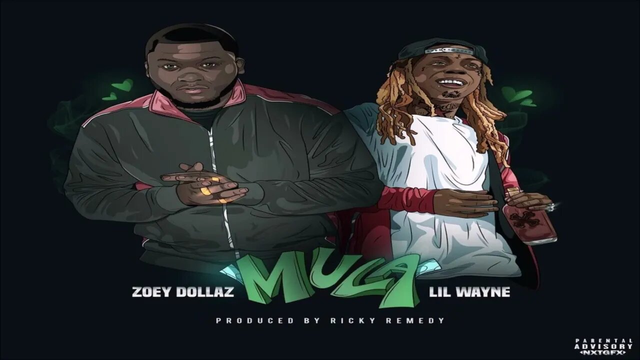 Zoey Dollaz x Lil Wayne - Mula (432hz) Produced by Ricky Remedy (FKing Classic 👑) (2018)