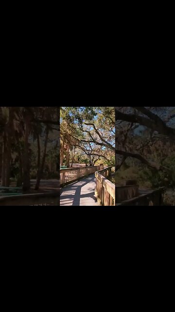 #walkwithme #florida