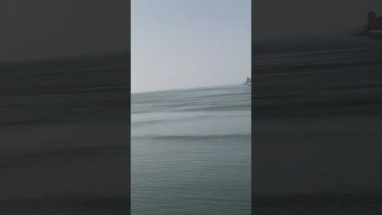 Tungabhadra dam #youtubeshorts #dam #water