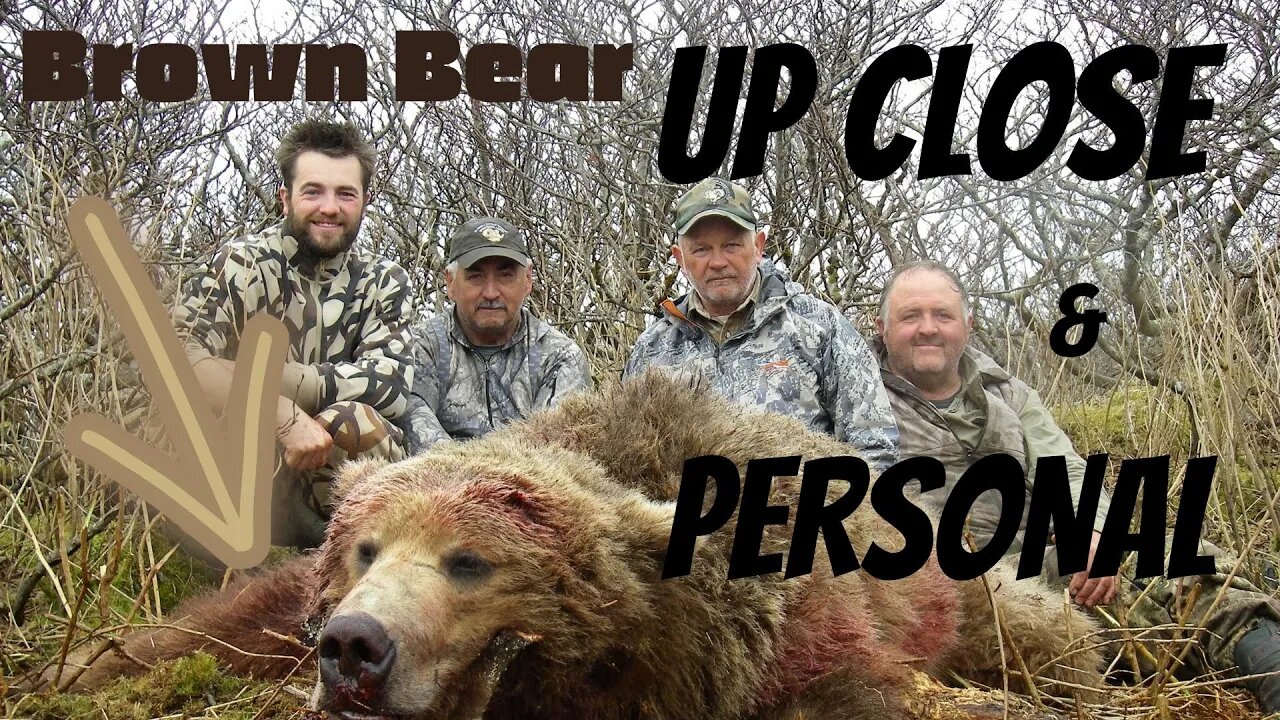 Brown Bear Up Close and Personal! Season 4 MDMM, Episode #2