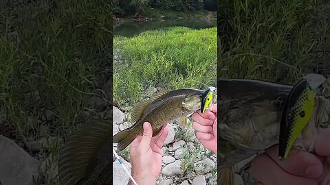 chasing crank baits in the Great Miami River