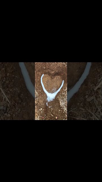 Chinese Girls Online #962 She Loves You