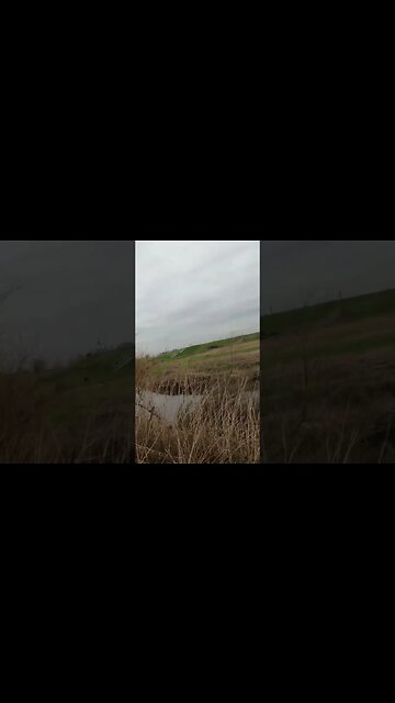 St Michael's-on-Wyre where Nicola Bulley went missing #NicolaBulley