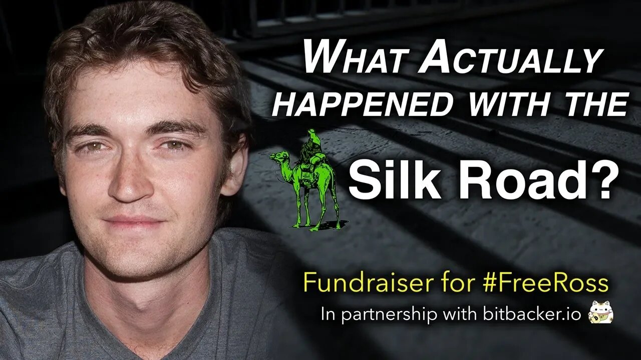 What really happened in the Silk Road Trial?