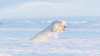 Frozen Planet II (2023- ) - Crítica