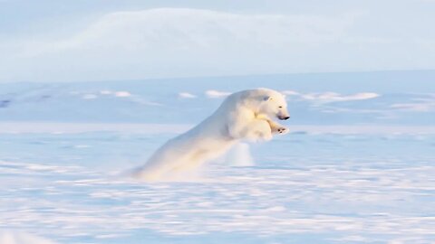 Frozen Planet II (2023- ) - Crítica