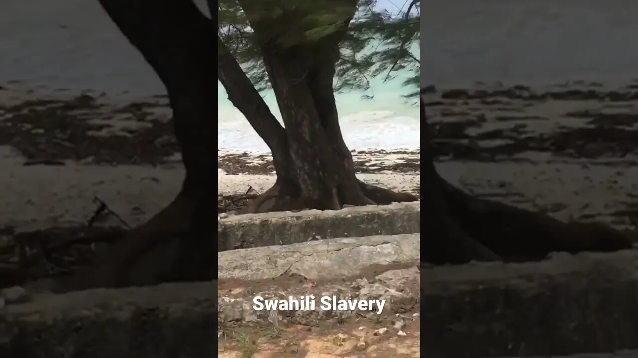 Pre-colonialism slavery ⛓ #fyp #swahili #shorts