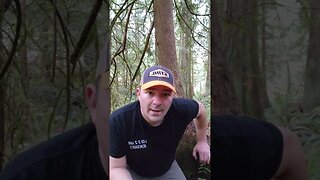 Trail cam update 7 #predatorwatch #homesteading #trailcamera