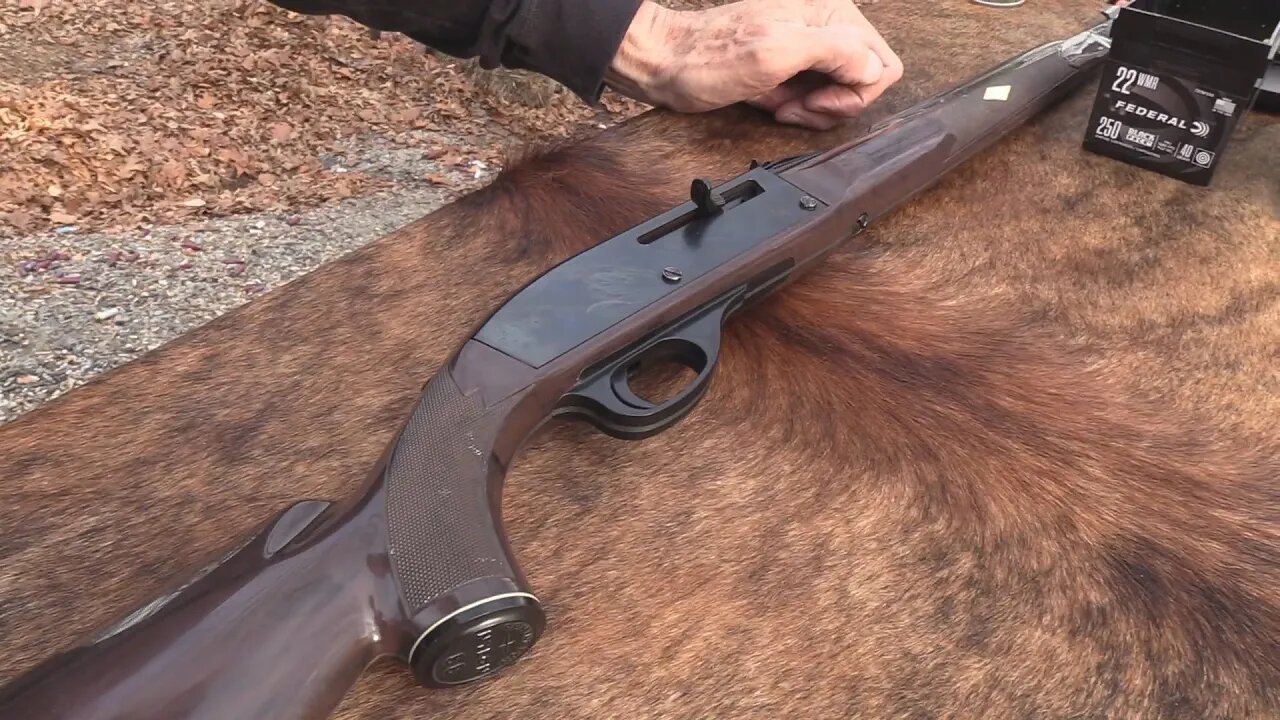 Remington Nylon 66 .22 LR