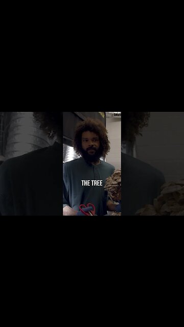 🍄 gourmet mushroom farming #shorts